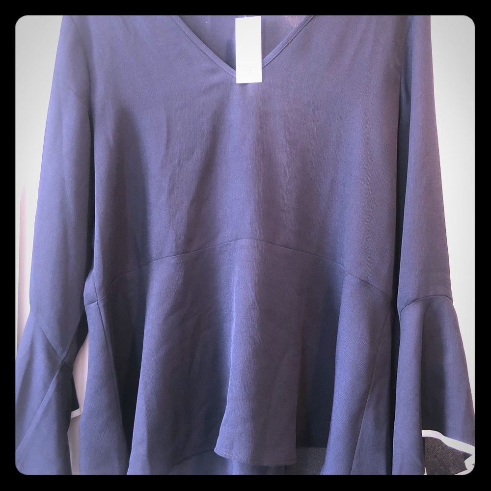 Ann Taylor navy sheer blouse